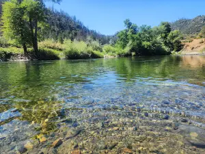 Douglas City Campground