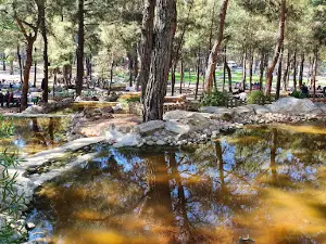 Park Forest