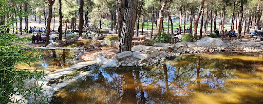 Park Forest