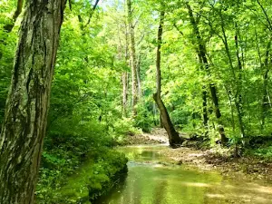 Little Lost Creek Conservation Area