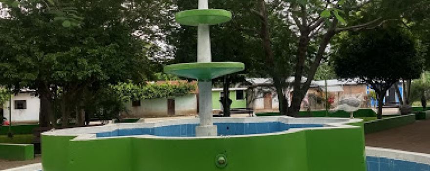 Pajarillo