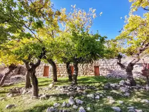 Jabal Moussa Biosphere Reserve