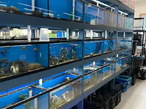 Aqua World Pet Super Center