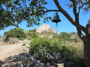 Palaiochora