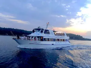 Pula Boat Tours – Adventures | Dolphin & Sunset Watching | Day Cruises | Best Boat Trips in Istria by Europa Boat©