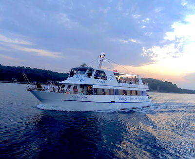 Pula Boat Tours – Adventures | Dolphin & Sunset Watching | Day Cruises | Best Boat Trips in Istria by Europa Boat©