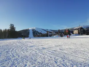 Подъемник Sky Way