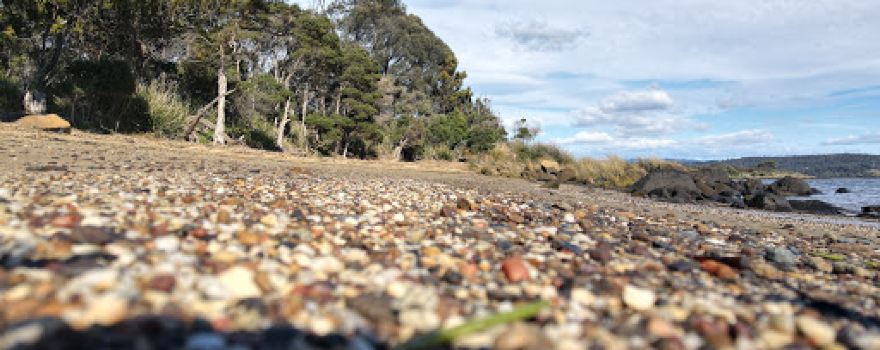 Egg Island Point Reserve