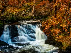 National Trust - South Snowdonia