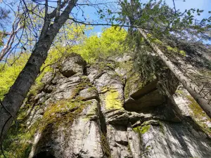 Wasserfall Bystré