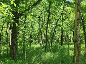 Stockton State Park