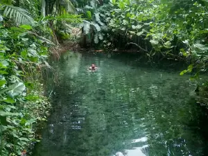 Olho d'água da Saúde (Águas cristalinas)