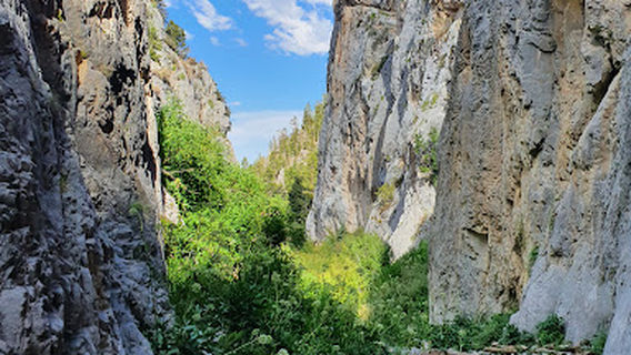 Echo Trail