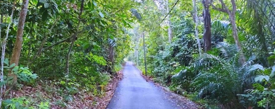 Bukit Batu Sawa Hilltop