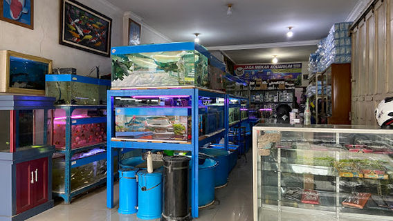 Jasa Mekar Aquarium