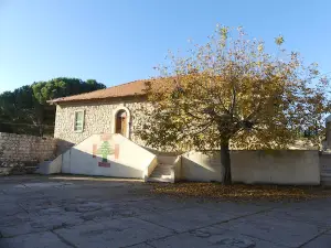 Musée des animaux, oiseaux et papillons
