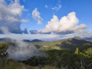 Patung Bunda Maria Ratu Semesta Alam Wolo ATA GA'E