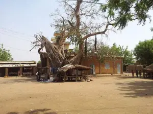 Grande Mosquée de Diéoura