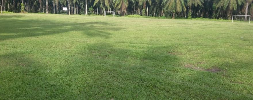 Lapangan Bola Kaki Pasar IV Lonsum