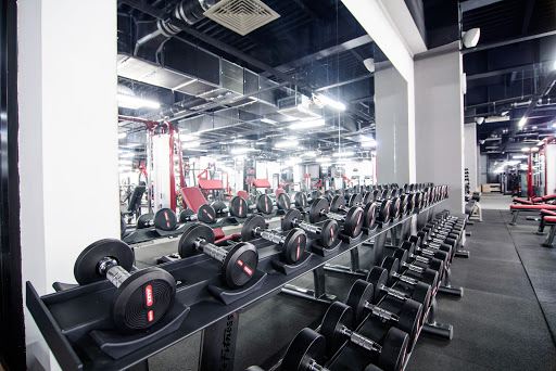 X-Fit