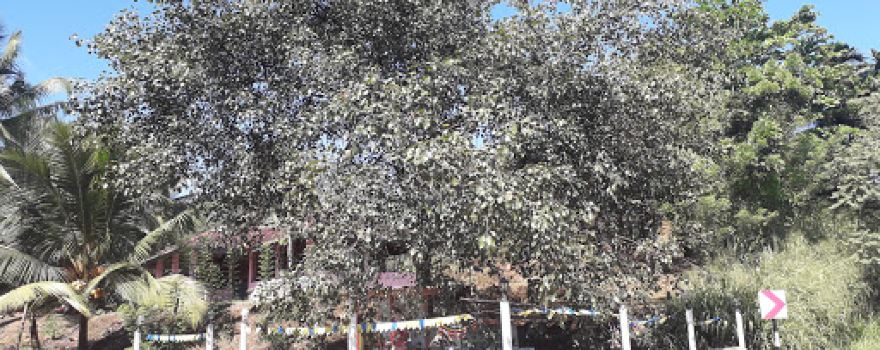 Sri Isipathanaramaya