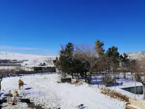 Holy Krbjnh - کرپچنە