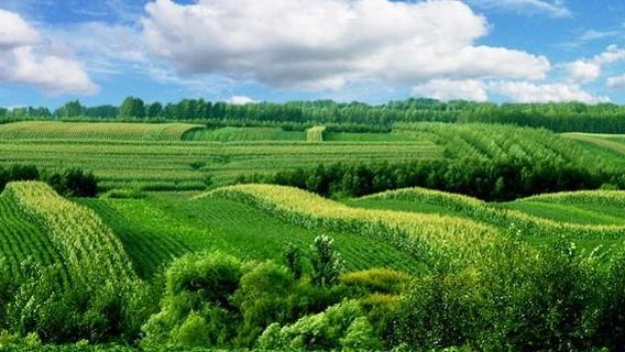 Wulingfeng Ecology Tourist Area