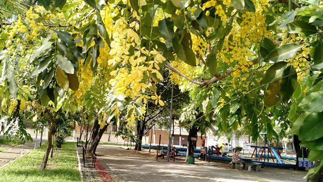 Martins Dourado Square