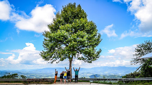 Vista Chinesa - Mirante