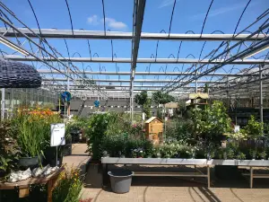 Intratuin Tilburg