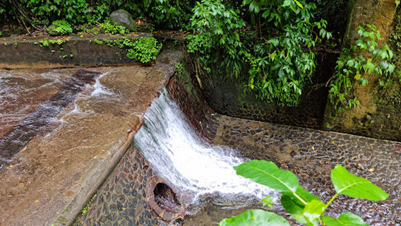 Cascade Absalon