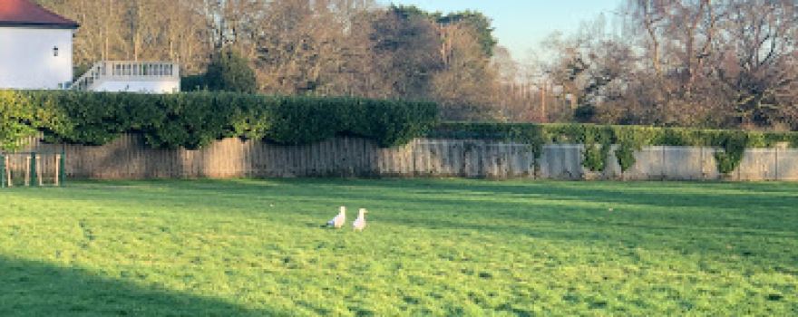 Ty'r Winch Playing Field