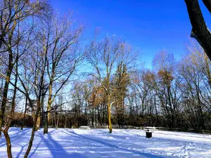 Carver Lake Park and Beach