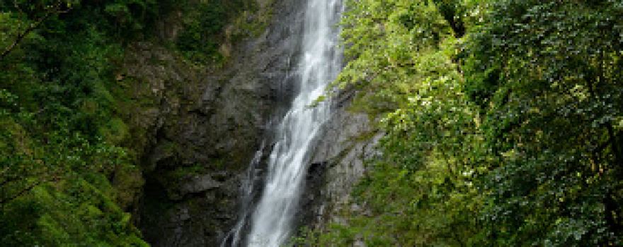 Salto Morato Private Natural Heritage Reserve