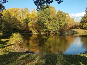 Lion's Club Lake