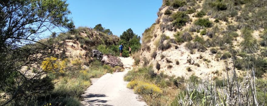 Risco de las Cuevas