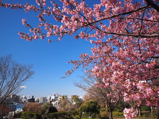 西鄉山公園
