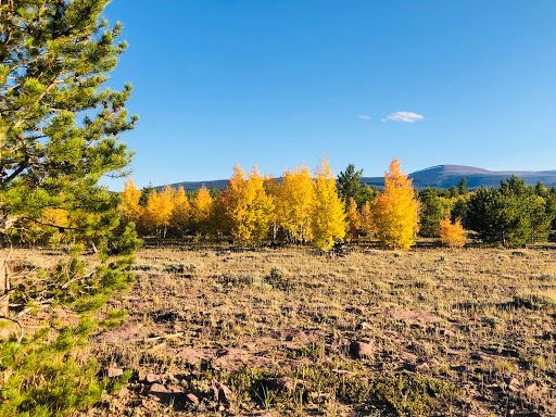 رحلات طيران من ${{cityDName}} إلى مانيلا