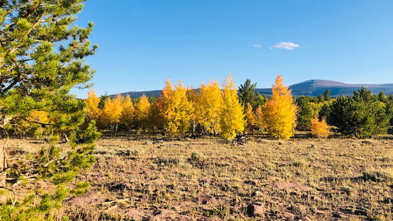 Nick's Last Resort RV Park