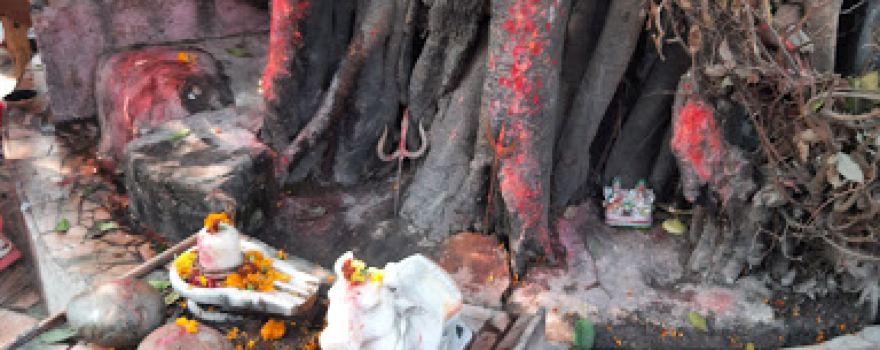 Tekdhar Mandir