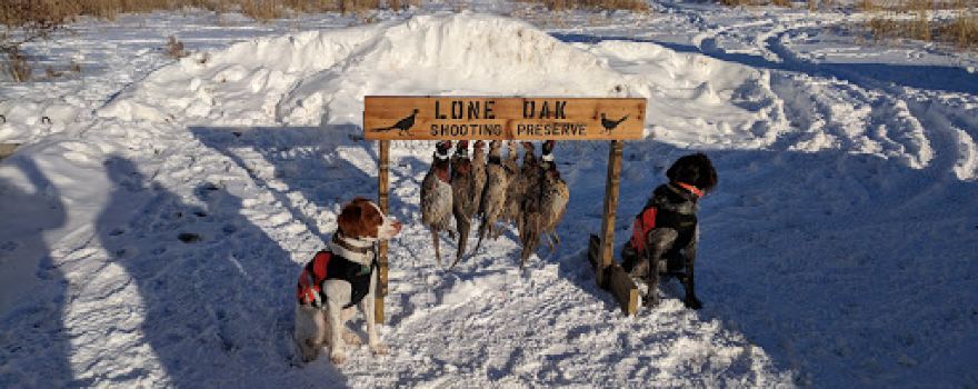 Lone Oak Shooting Preserve LLC