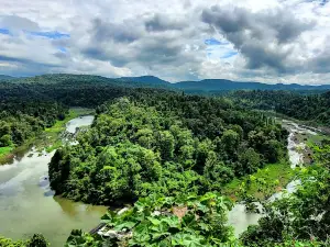 Satpura Mountain Forest