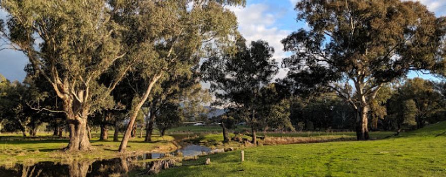 Kiewa River Walking Track South