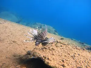 Nima Diving Center - Naxos PADI 5 Star Diving Center