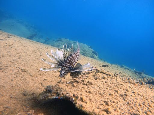 Nima Diving Center - Naxos PADI 5 Star Diving Center