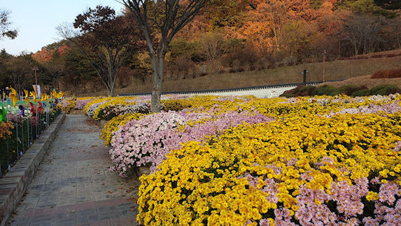 Geochang Massacre Memorial Park