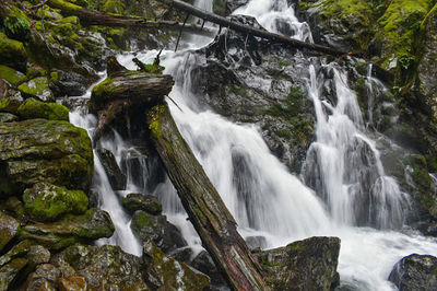 Hamilton Mountain Trail