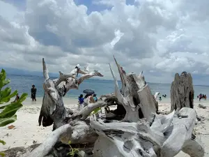 Great Sta Cruz Island Beach Resort