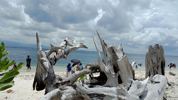 Great Sta Cruz Island Beach Resort