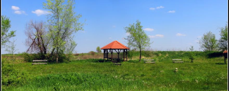 The King Timiș Sculpture